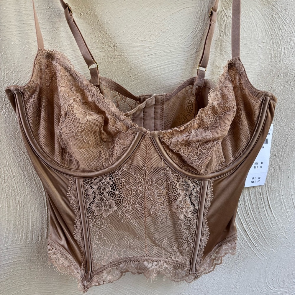 Abercrombie & Fitch NWT Lace Bustier in Tan